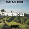 Who Knows (Original Mix)