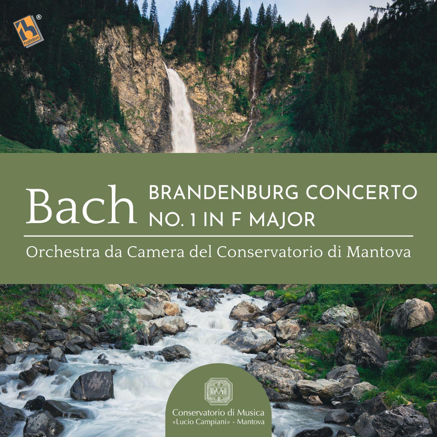 Bach: Brandenburg Concerto No. 1 in F Major, BWV 1046