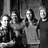 The Stone Foxes