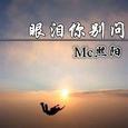 眼泪你别问