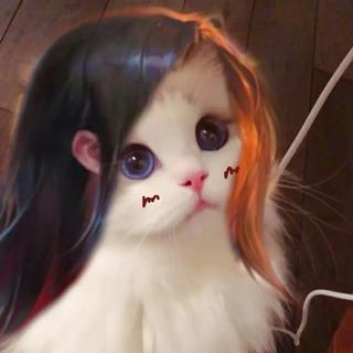 上单伤感橘右京