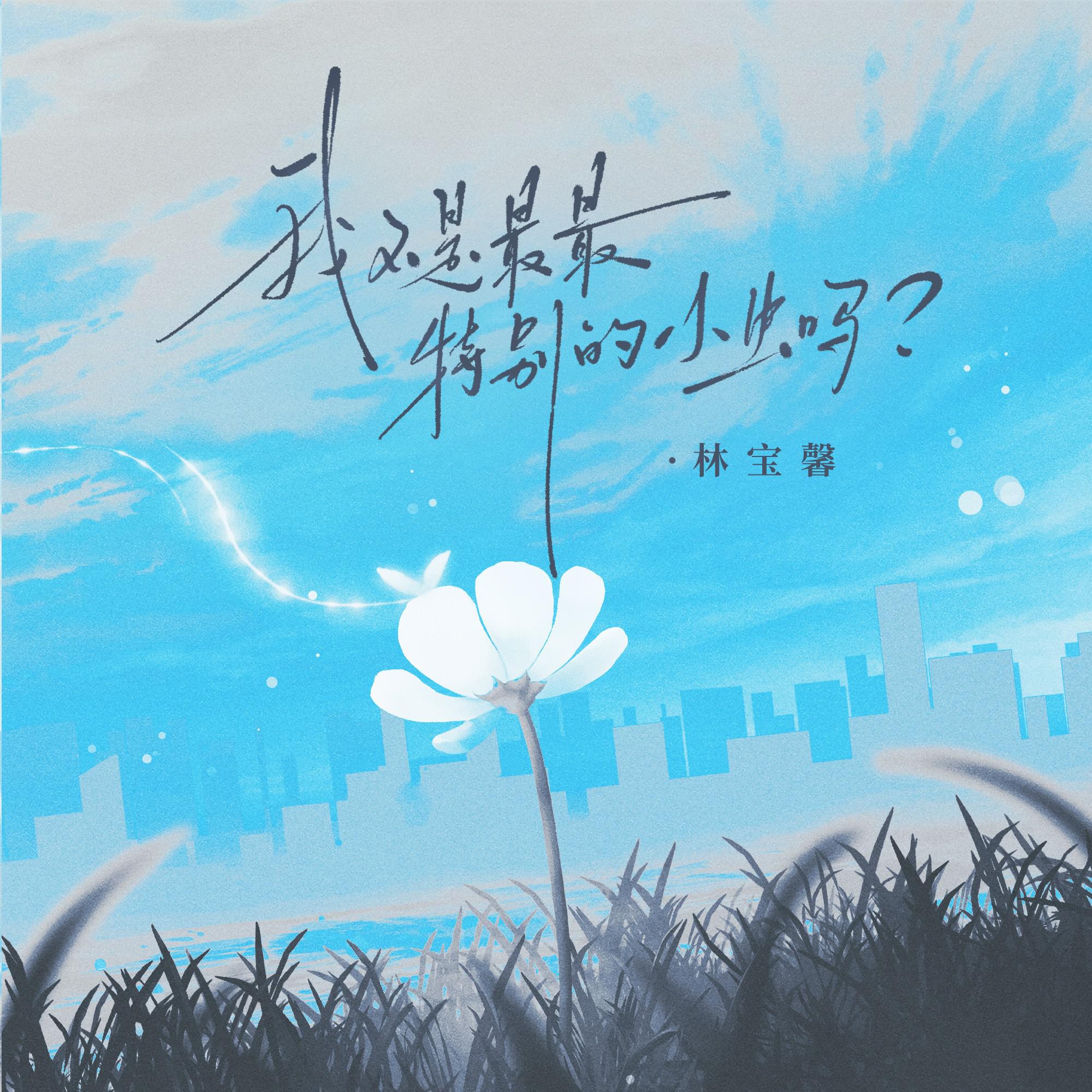 林宝馨歌曲封面