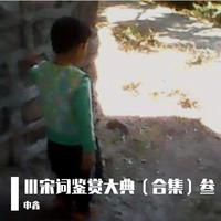 忆秦娥.雁（纯音乐）