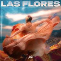 Cavalli, Jesus Fernandez, Morenita - Las Flores (Extended Mix) 122
