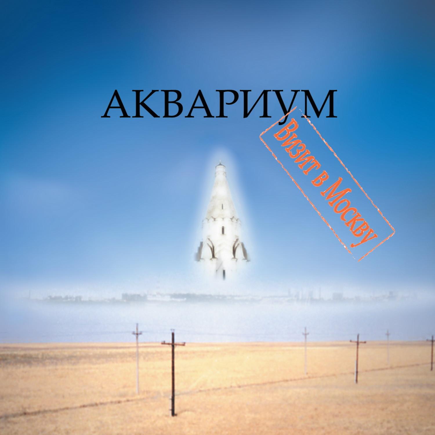 Визит в Москву