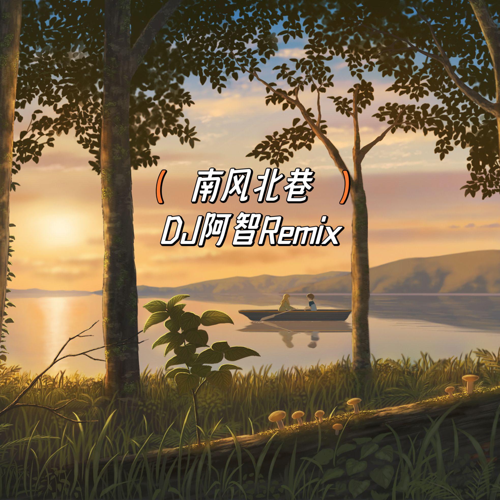 南风北巷(DJ阿智Remix）