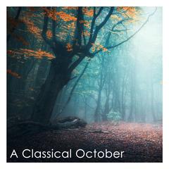 郎朗,Wolfgang Amadeus Mozart《Piano Sonata No. 16 in C Major, K. 545 "Sonata facile":I. Allegro吉他谱》_完美的音乐流动