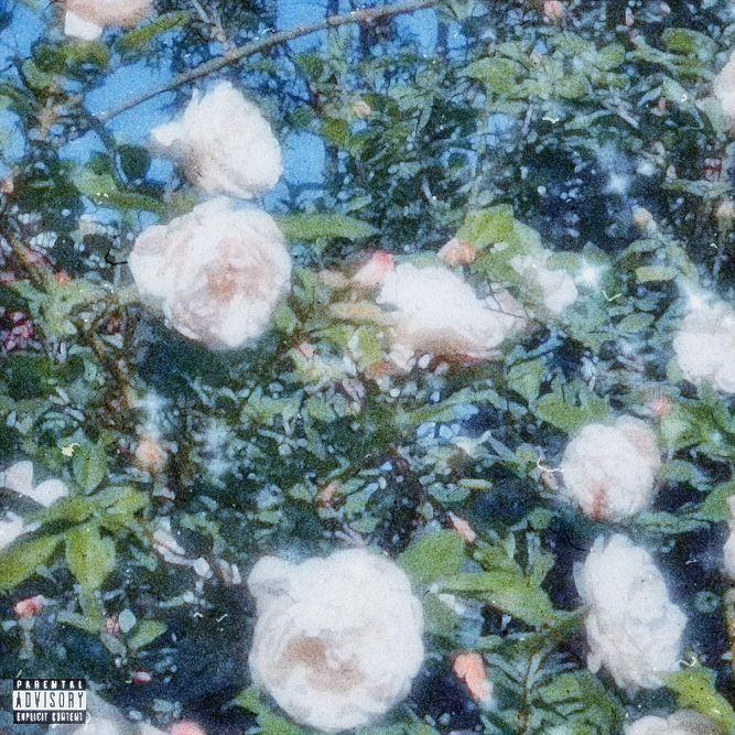 supershy(prod Crystal Hitboy)