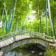 小桥流水