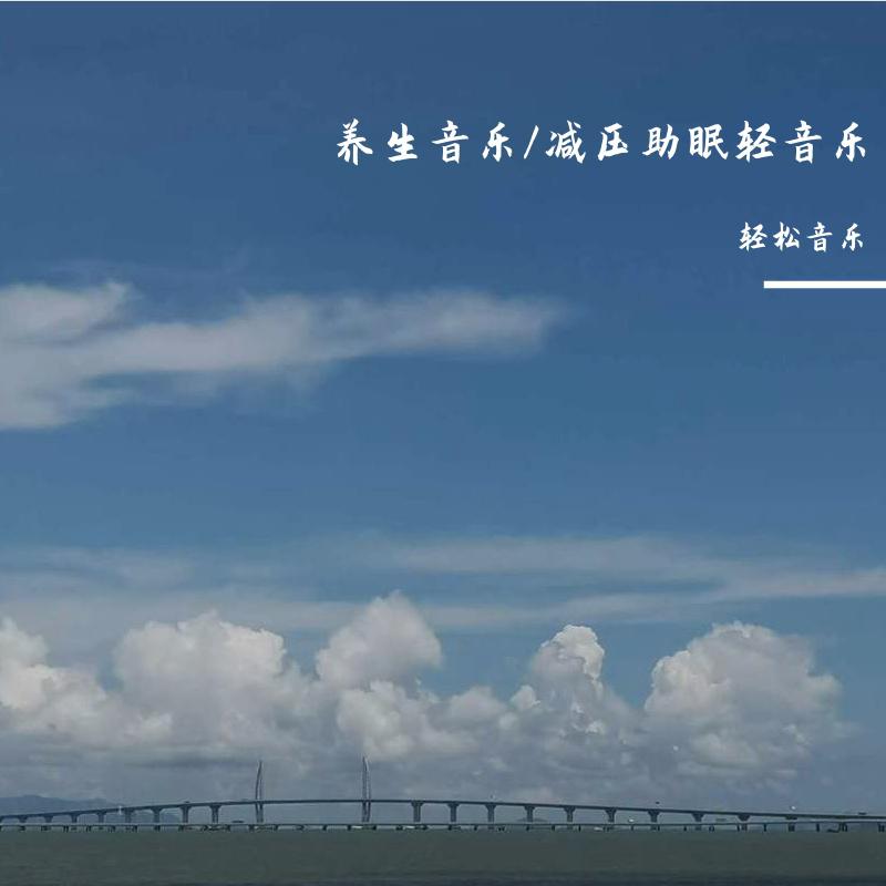 养生音乐/减压助眠冥想轻音乐