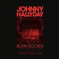 Johnny Hallyday - That's All Right Mama (live Theatre De Paris 2013) (karaoke Version)