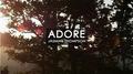 Adore (Melvv Remix) 专辑