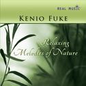 Relaxing Melodies of Nature专辑