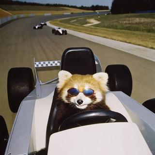 超燃开车歌丨听完直接变秋名山车神