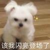 糖糖的一些翻唱专辑