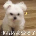 糖糖的一些翻唱专辑
