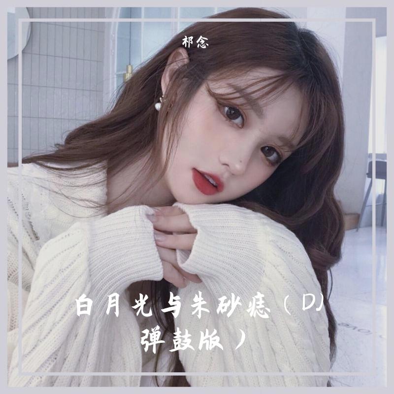 白月光与朱砂痣（DJ弹鼓版）