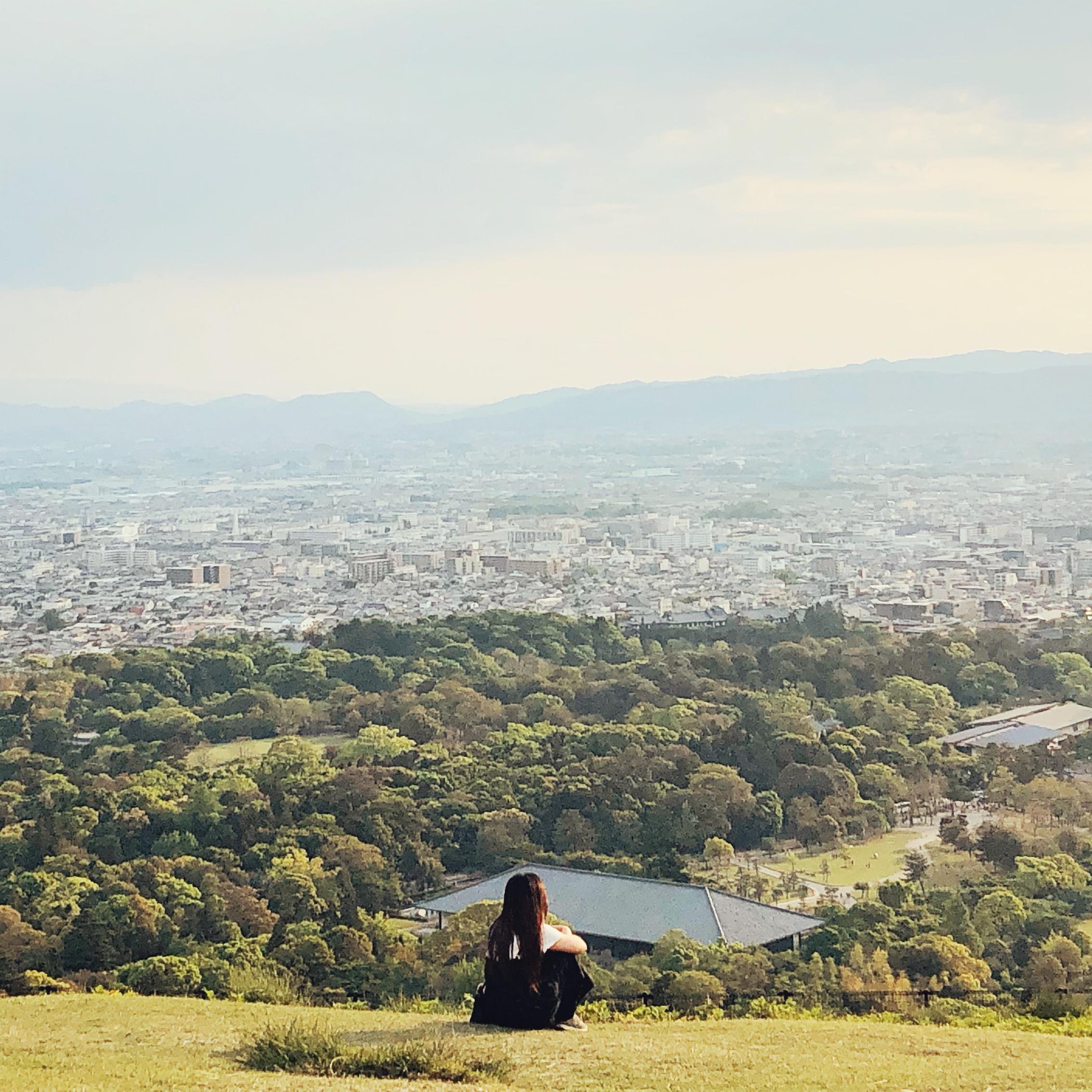 春暖花开去见你