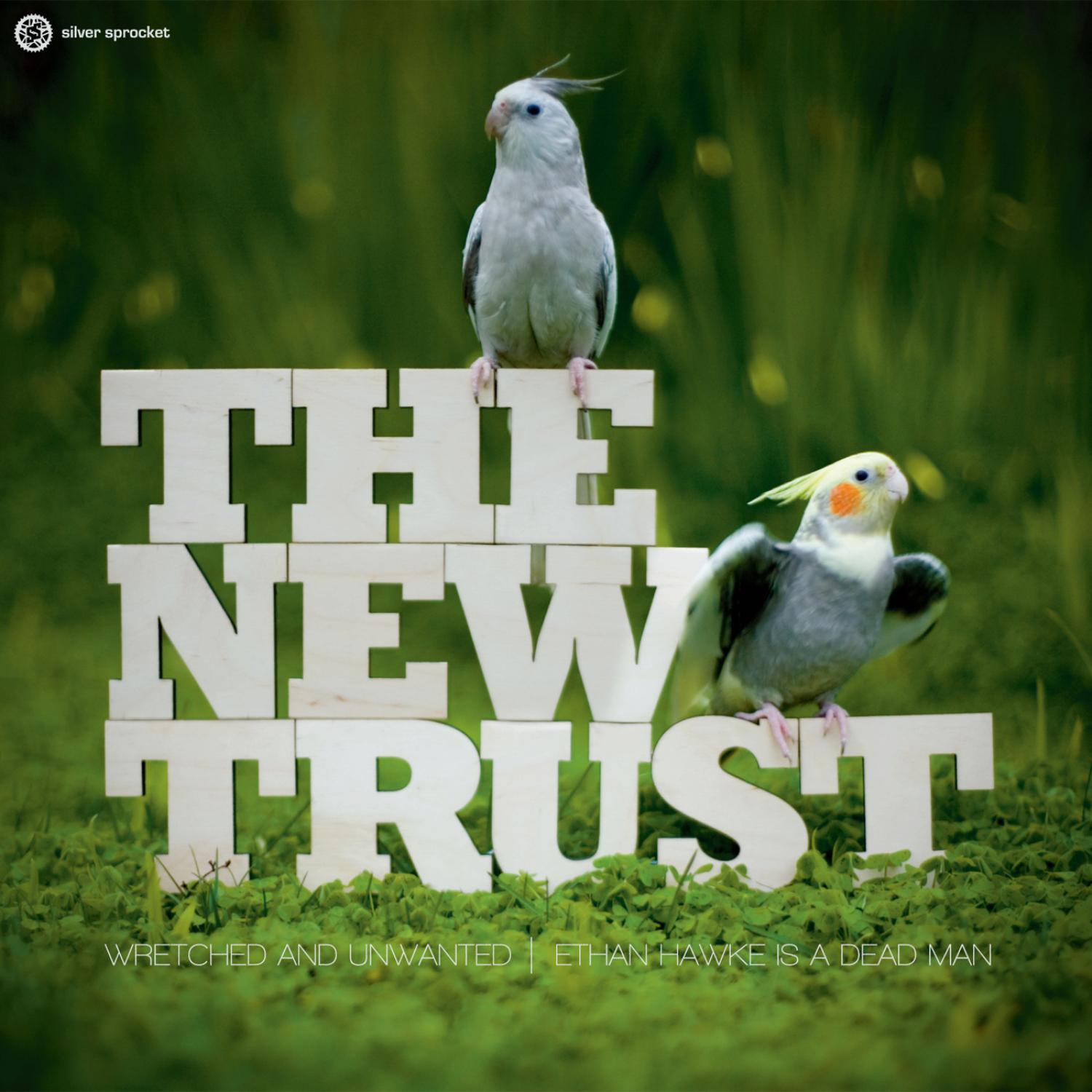 The New Trust / Pteradon - Split EP