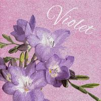 巷子之星 - 紫罗兰Violet