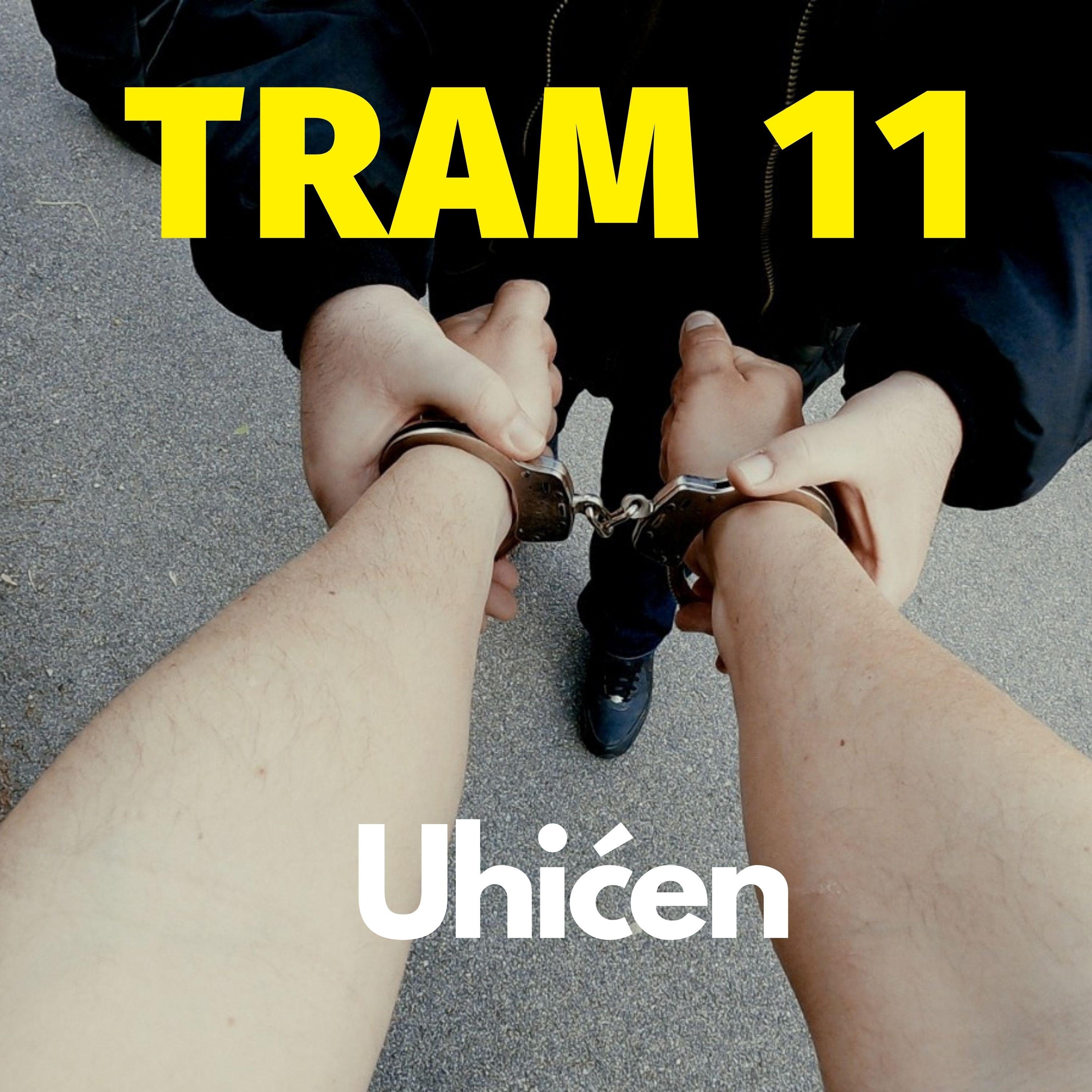Uhićen