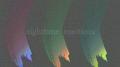 nighttime emotions专辑