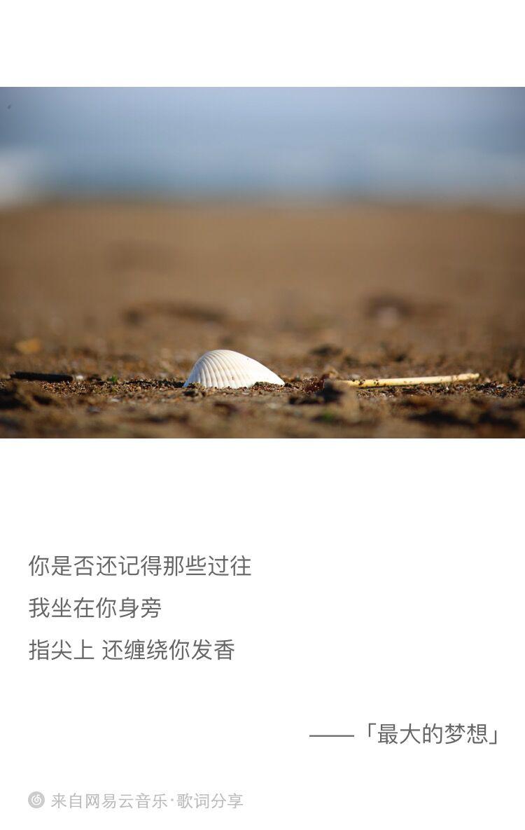 好听的纯音乐合集专辑