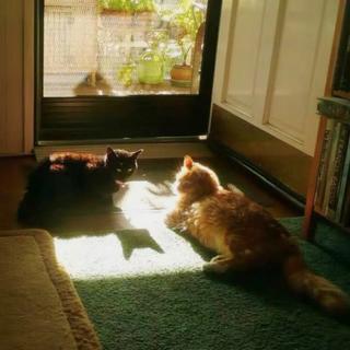 经典回响｜音乐没有辜负8090后