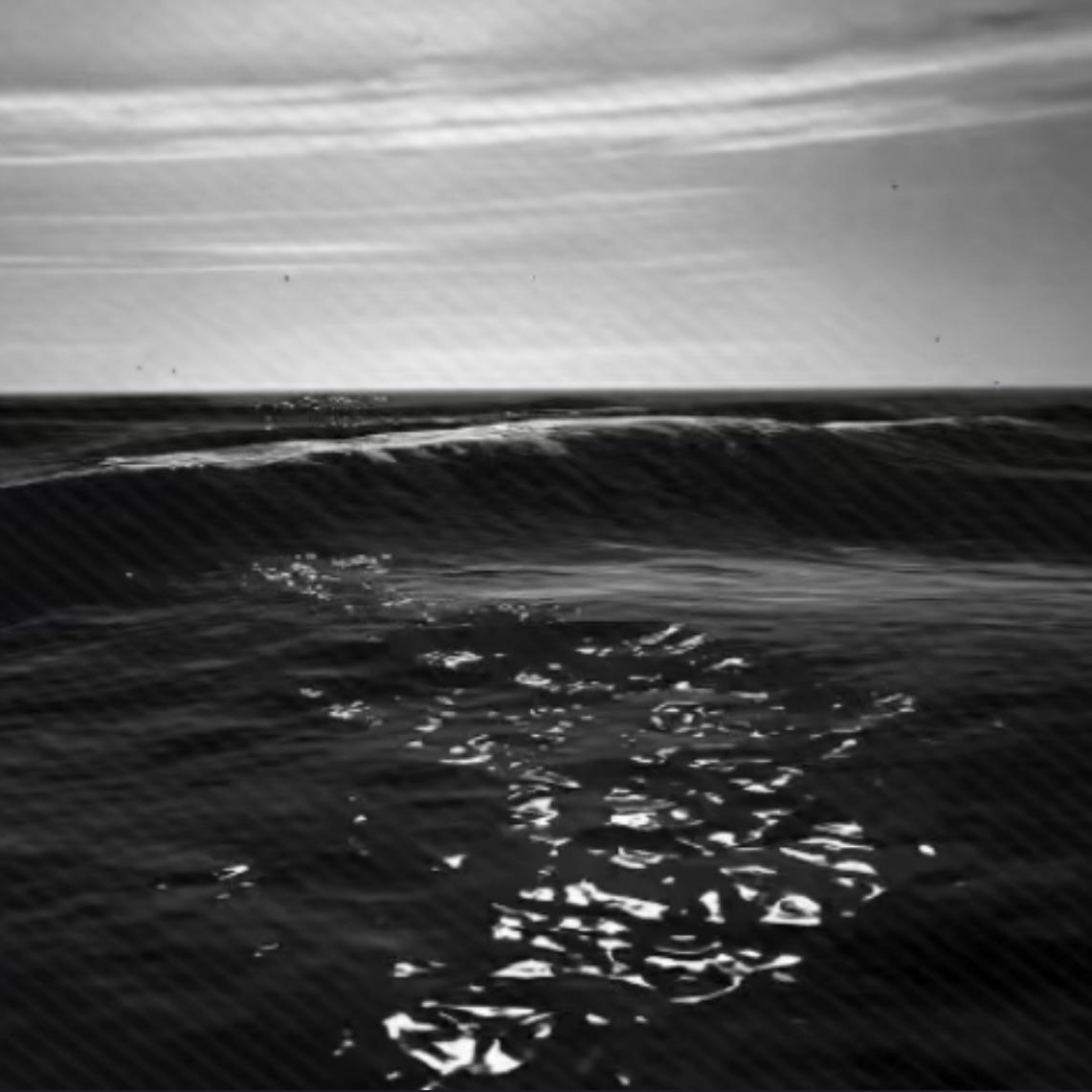 赛勒斯的爱(0.8X)