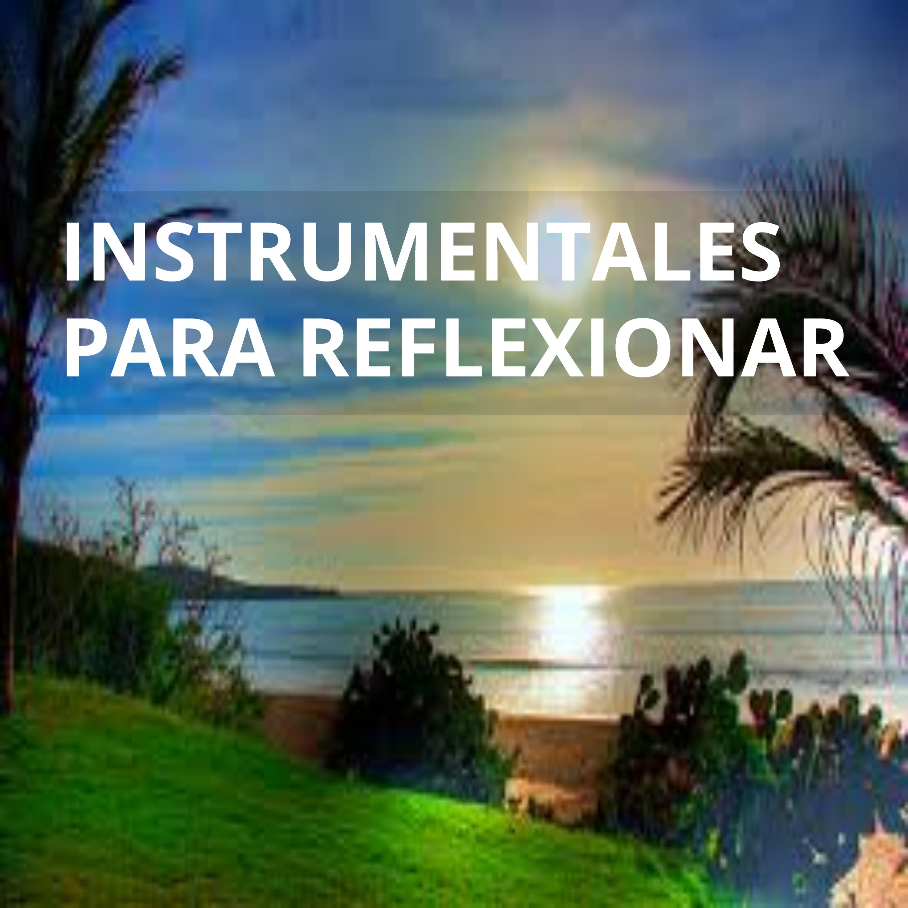 Instrumentales Para Reflexionar