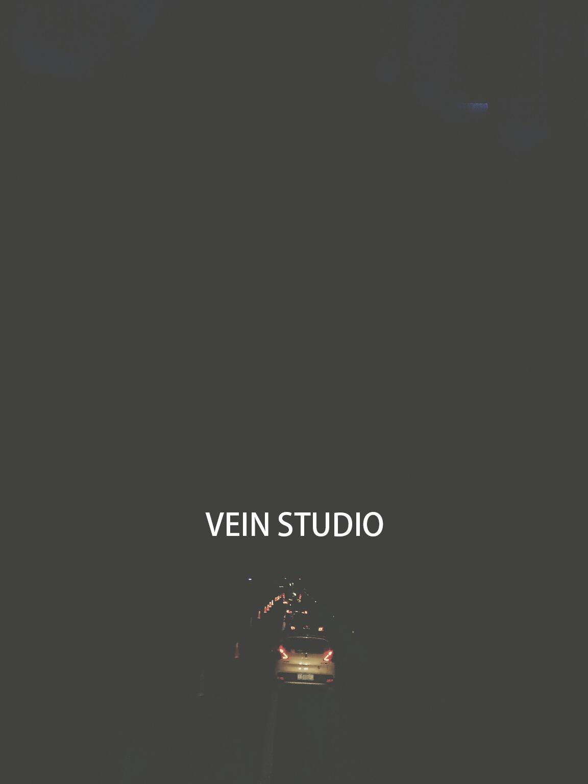 VEIN STUDIO专辑