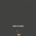 VEIN STUDIO