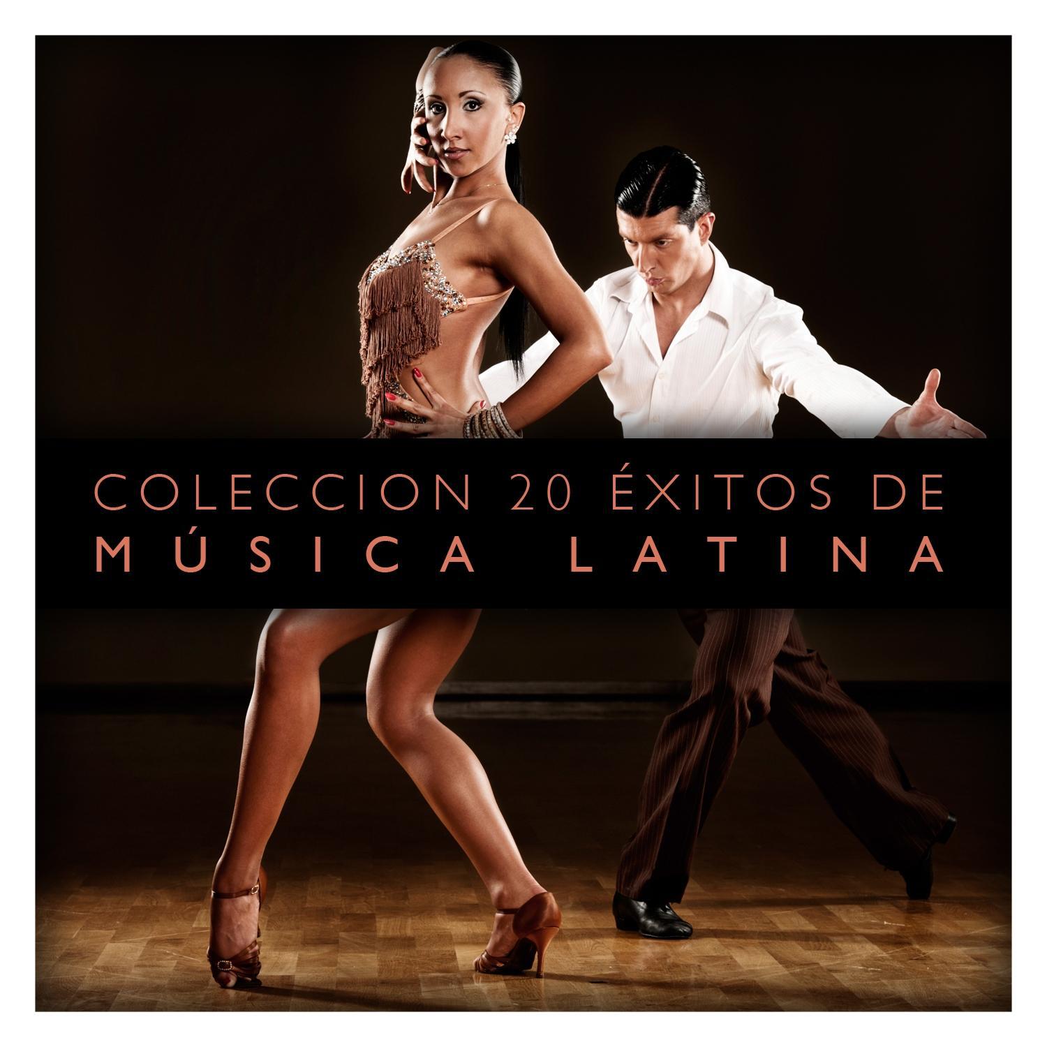 Colección 20 Éxitos de Música Latina专辑