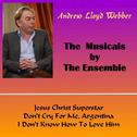 The Musicals by the Ensemble专辑