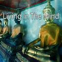 Living In The Mind专辑