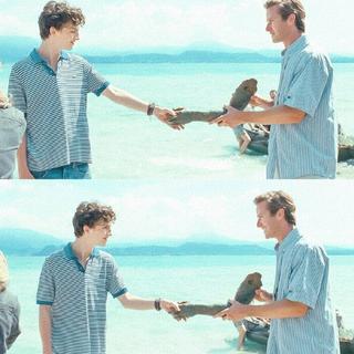 夏日终曲|思绪化成山，想念化作海