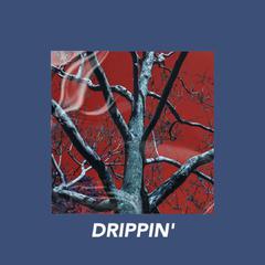 【FREE】"DRIPPIN'" LSD Phonk type beat