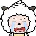 懒咩咩