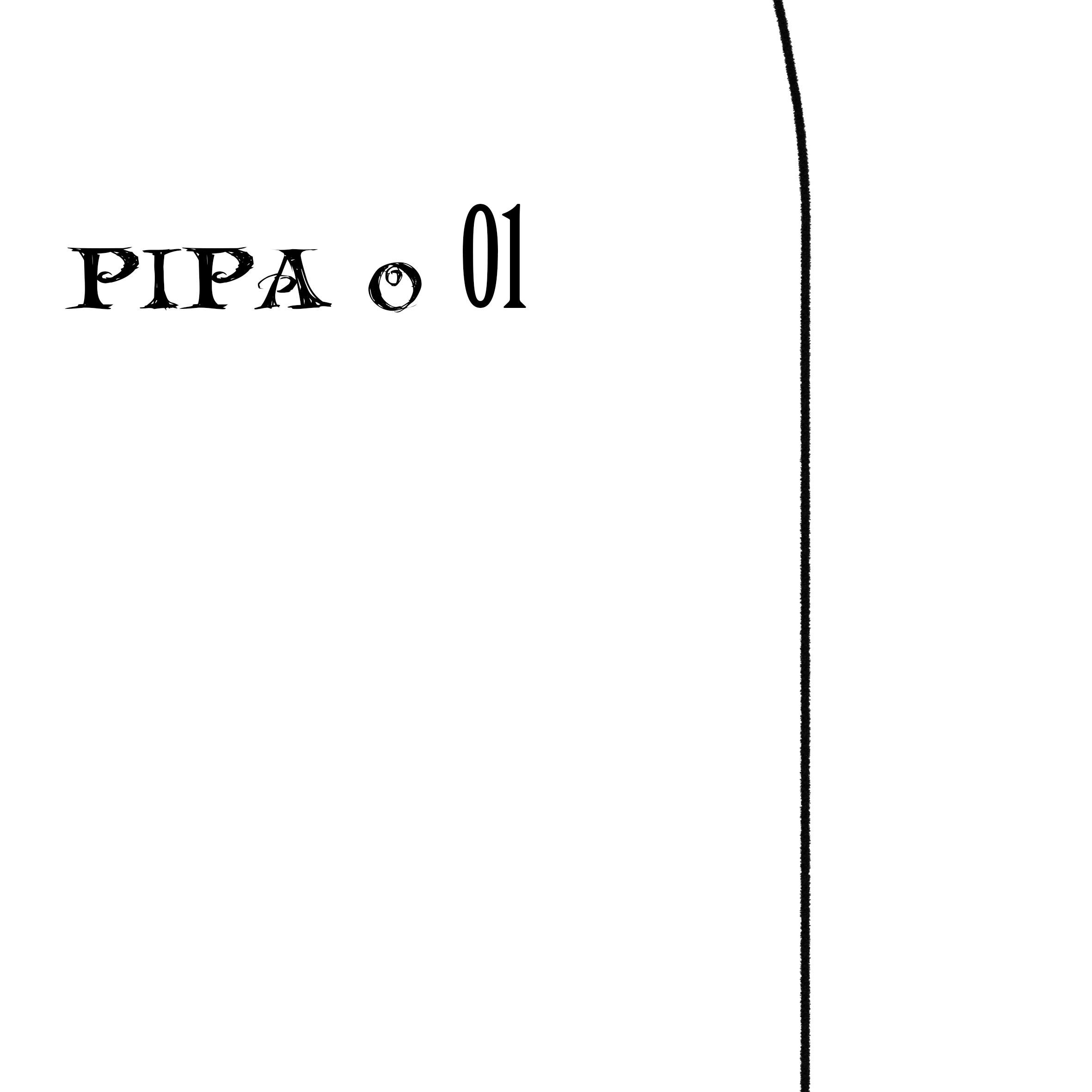 PIPA o01专辑