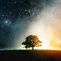 tothesky
