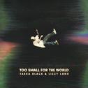 Too Small For The World专辑