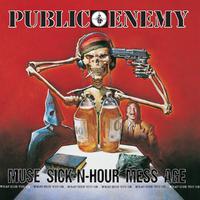 Public Enemy - Livin In A Zoo (instrumental)