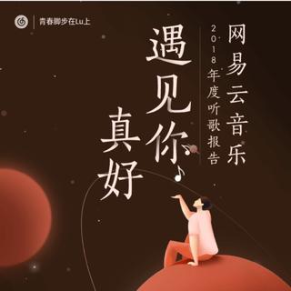 【自编】我的2018年年度听歌报告 Top50+1