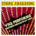 Vitamin String Quartet Tribute to Modern Broadway Hits