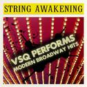 Vitamin String Quartet Tribute to Modern Broadway Hits专辑