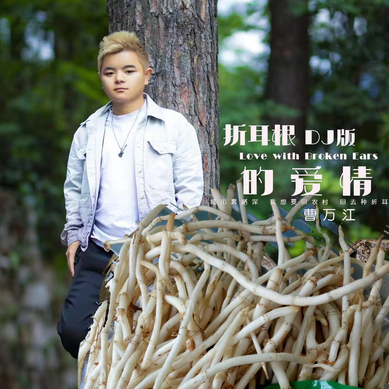 折耳根的爱情 (DJ版)