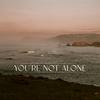 Punctual - You're Not Alone