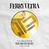 Ferry Ultra - Why Did You Do It? (Never Dull Instrumental Remix)