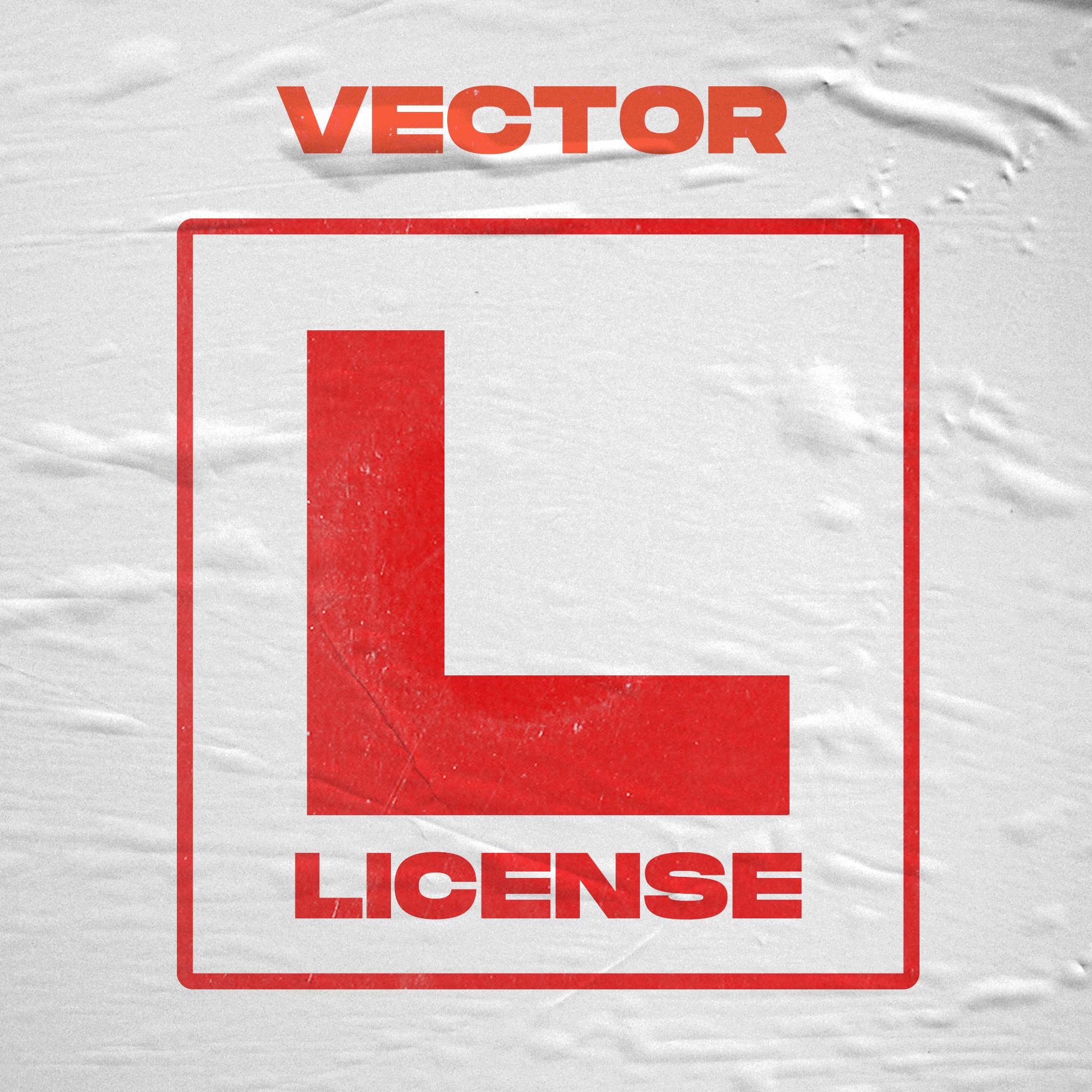 LICENSE