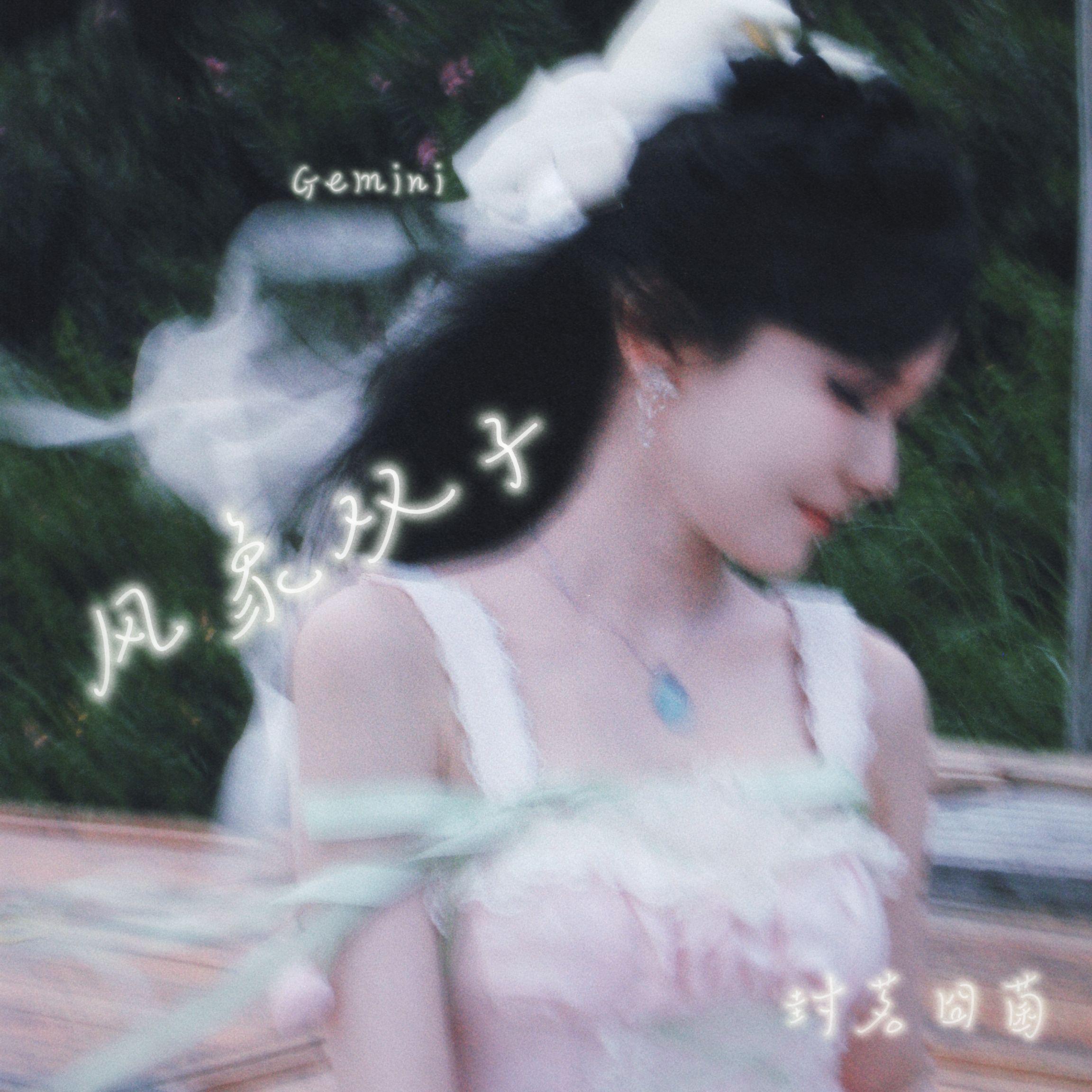 风象双子